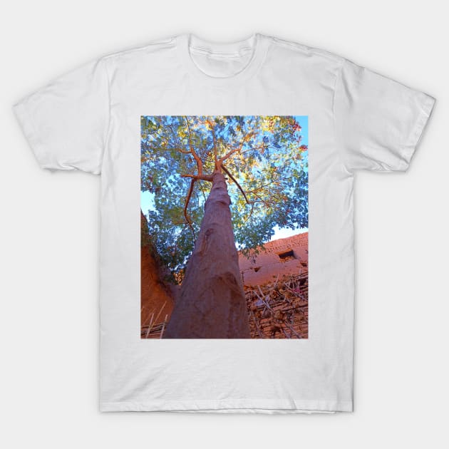 Tree inside the traditional house T-Shirt by Traditional-pct